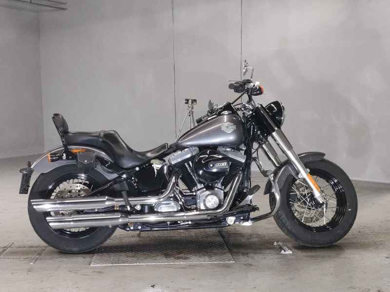 Harley-Davidson Slim FLS1690 2015
