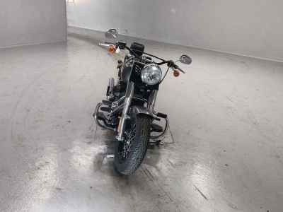 Harley-Davidson Slim FLS1690 2015