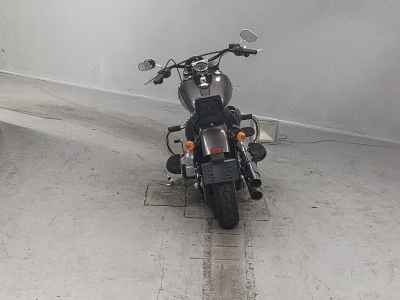 Harley-Davidson Slim FLS1690 2015