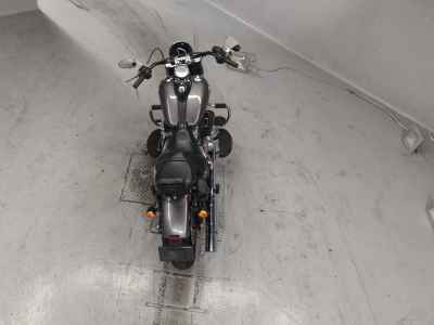 Harley-Davidson Slim FLS1690 2015