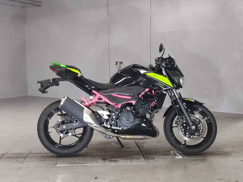 Kawasaki Z250 2022