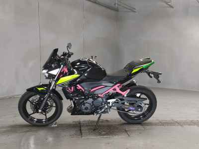 Kawasaki Z250 2022