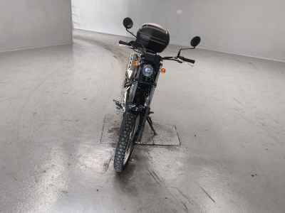 Yamaha TRICKER 2010