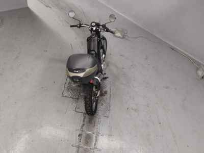 Yamaha TRICKER 2010