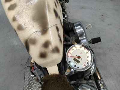 Yamaha XVS1100 Drag Star 2000