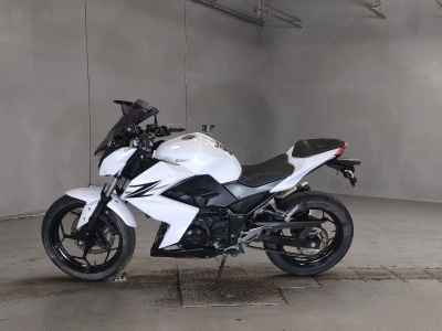 Kawasaki Z250 2013