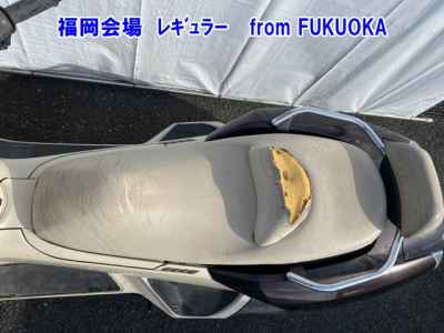 Yamaha Maxam 250 2007
