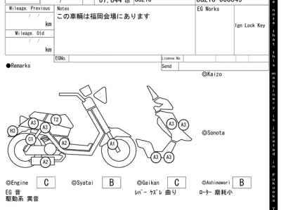 Yamaha Maxam 250 2007