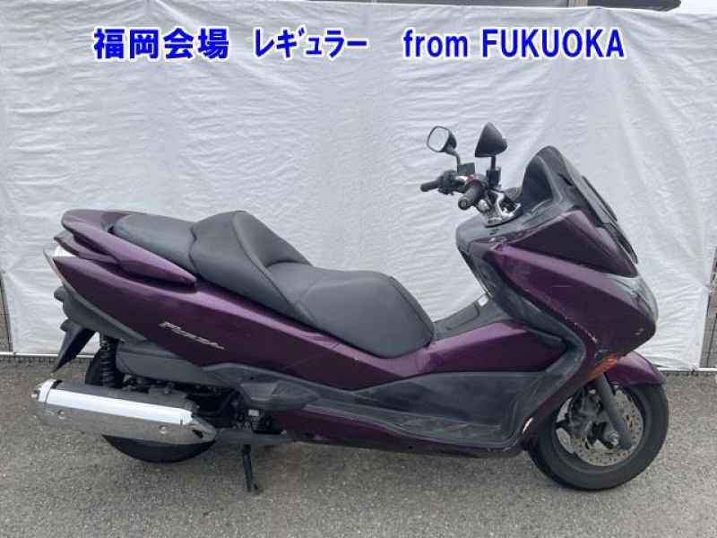 Honda Forza Z 2008