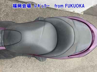 Honda Forza Z 2008