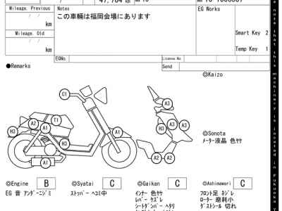 Honda Forza Z 2008