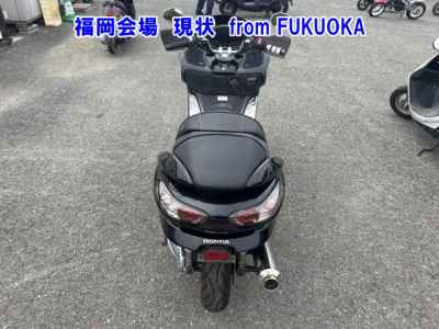 Honda Forza Z 2007