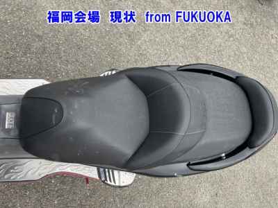 Honda Forza Z 2007