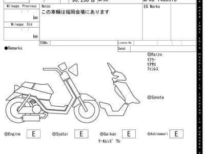 Honda Forza Z 2007