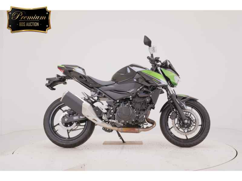 Kawasaki Z250 2023