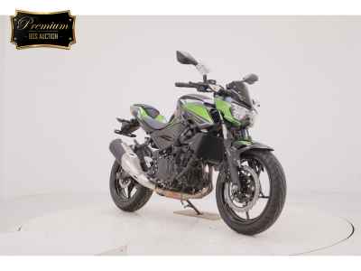 Kawasaki Z250 2023