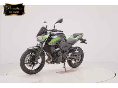 Kawasaki Z250 2023