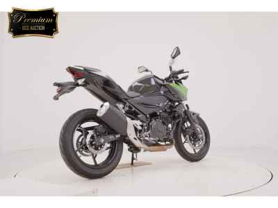 Kawasaki Z250 2023