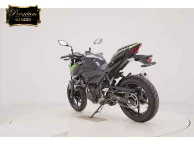 Kawasaki Z250 2023