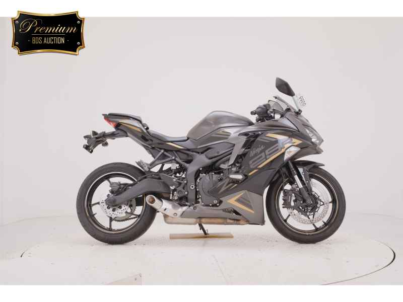 Kawasaki Ninja ZX-25R 2022