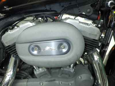 Harley-Davidson Sportster XL1200N 2009