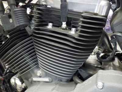 Harley-Davidson Sportster XL1200L 2010