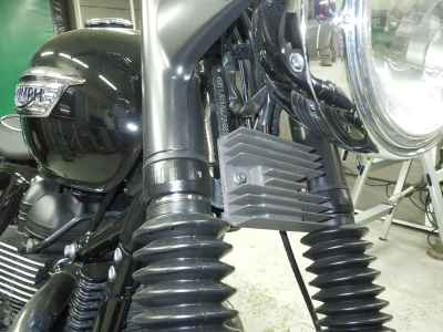 Triumph Bonneville T100 2016