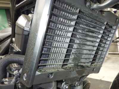 Honda Rebel T CMX1100 DCT 2023