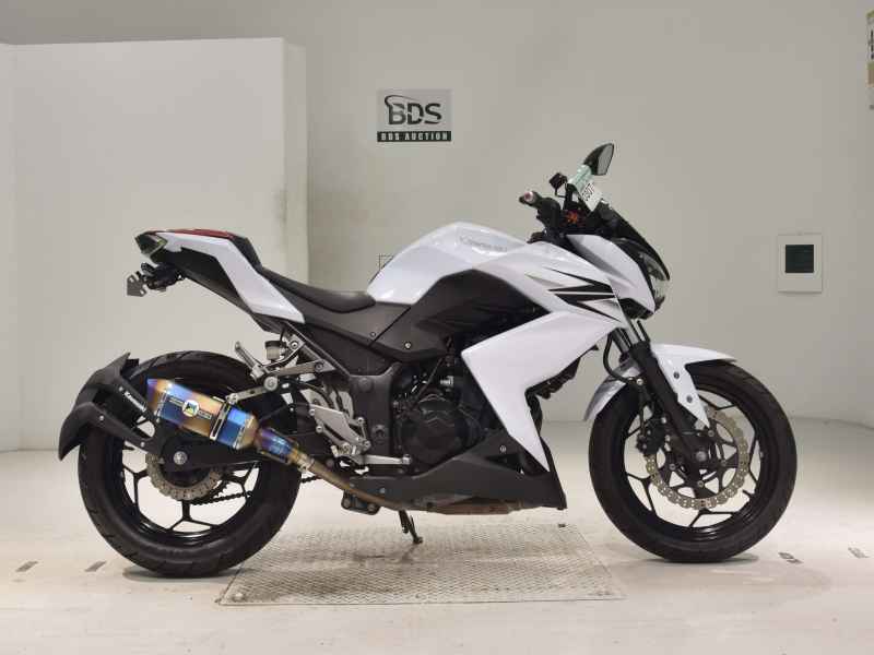 Kawasaki Z250 2013