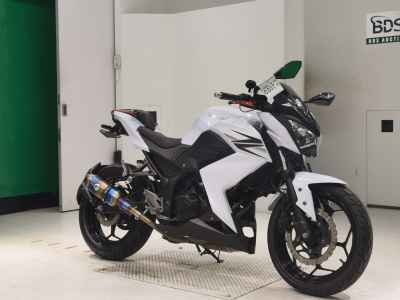 Kawasaki Z250 2013