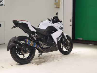 Kawasaki Z250 2013