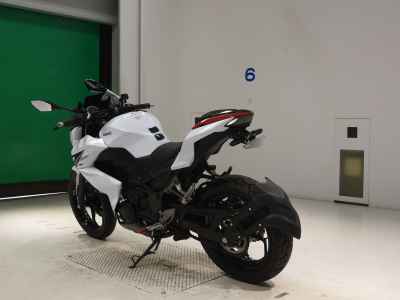 Kawasaki Z250 2013
