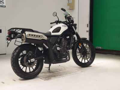 Honda CL250 2023