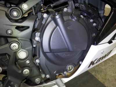 Kawasaki Ninja 250 2021