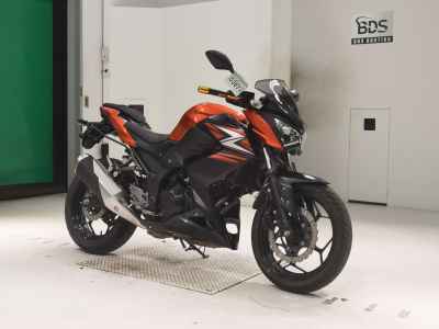 Kawasaki Z250 2014