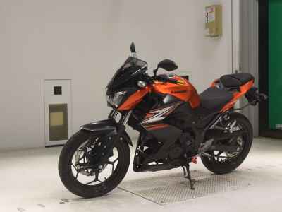 Kawasaki Z250 2014