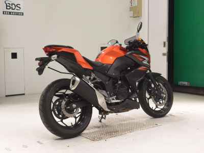 Kawasaki Z250 2014