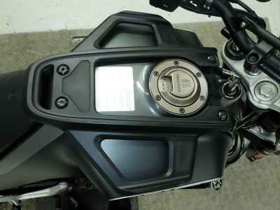 Husqvarna Svartpilen 401 2020