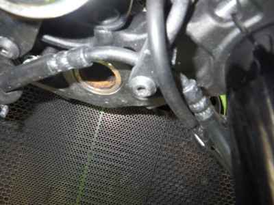 Kawasaki Z900RS Cafe 2020