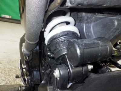 Triumph Speed 400 2024