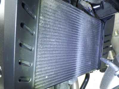 Honda Hawk 11 2023