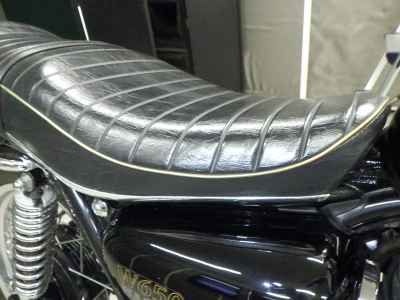 Kawasaki W650 2002