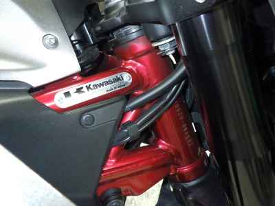 Kawasaki Z900 2019