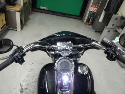 Harley-Davidson Sport Glide FLSB107 2025
