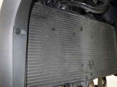 Honda NT1100 2023
