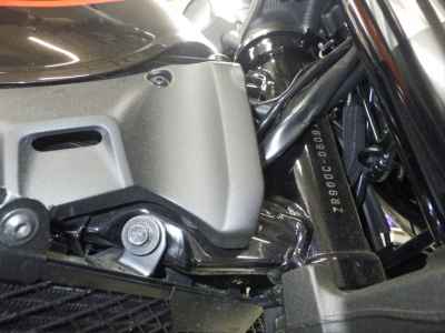 Kawasaki Z900RS 50th Anniversary 2022