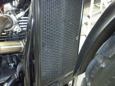 Triumph Scrambler 900 2013