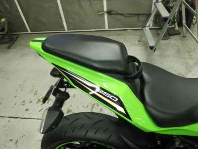 Kawasaki Ninja ZX-25R 2021