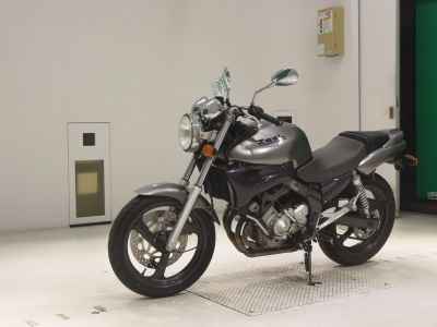 Yamaha ZEAL FZX250 1992