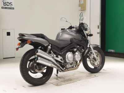 Yamaha ZEAL FZX250 1992